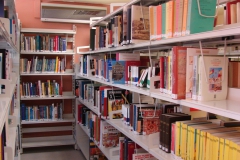 libraryvas002